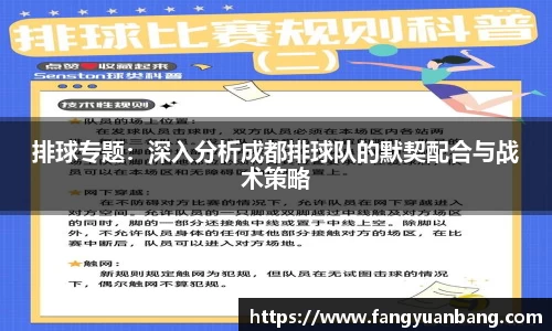 排球专题：深入分析成都排球队的默契配合与战术策略